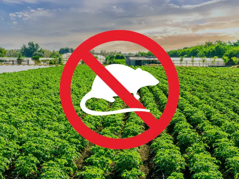 derattizzazione aziende agricole