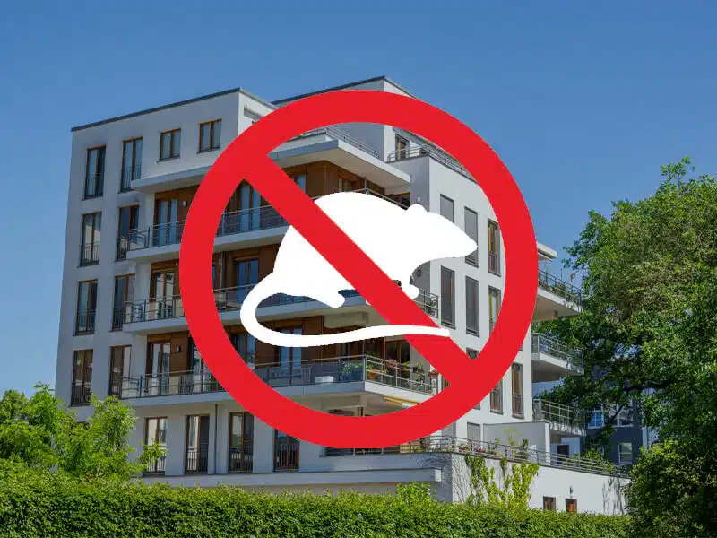 derattizzazione condomini