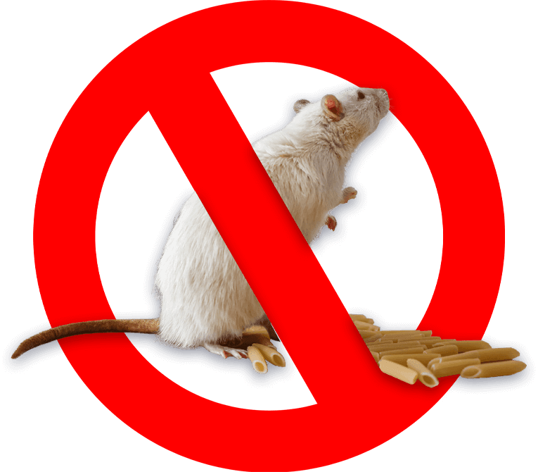 disinfestazione ratti e topi