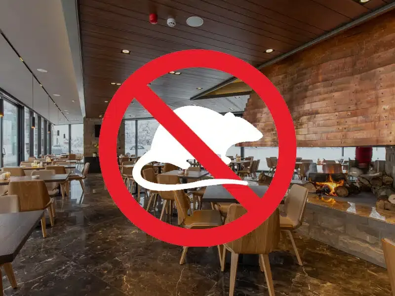 derattizzazione ristoranti