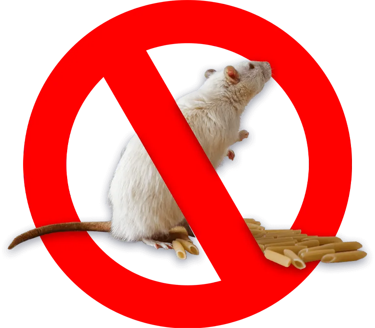 disinfestazione ratti e topi