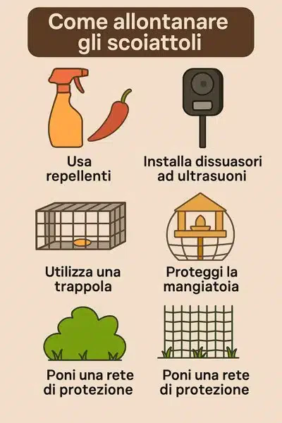 come allontanare gli scoiattoli dal giardino